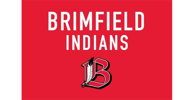 Brimfield Biddy Basketball